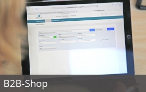 B2B-Shop